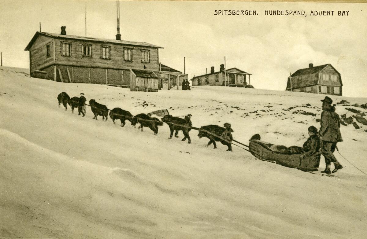 Hundespann, Advent Bay. Kort nr. 14 fra et hefte inneholdende 13 stk postkort, produsert av T. Høegh, Tromsø