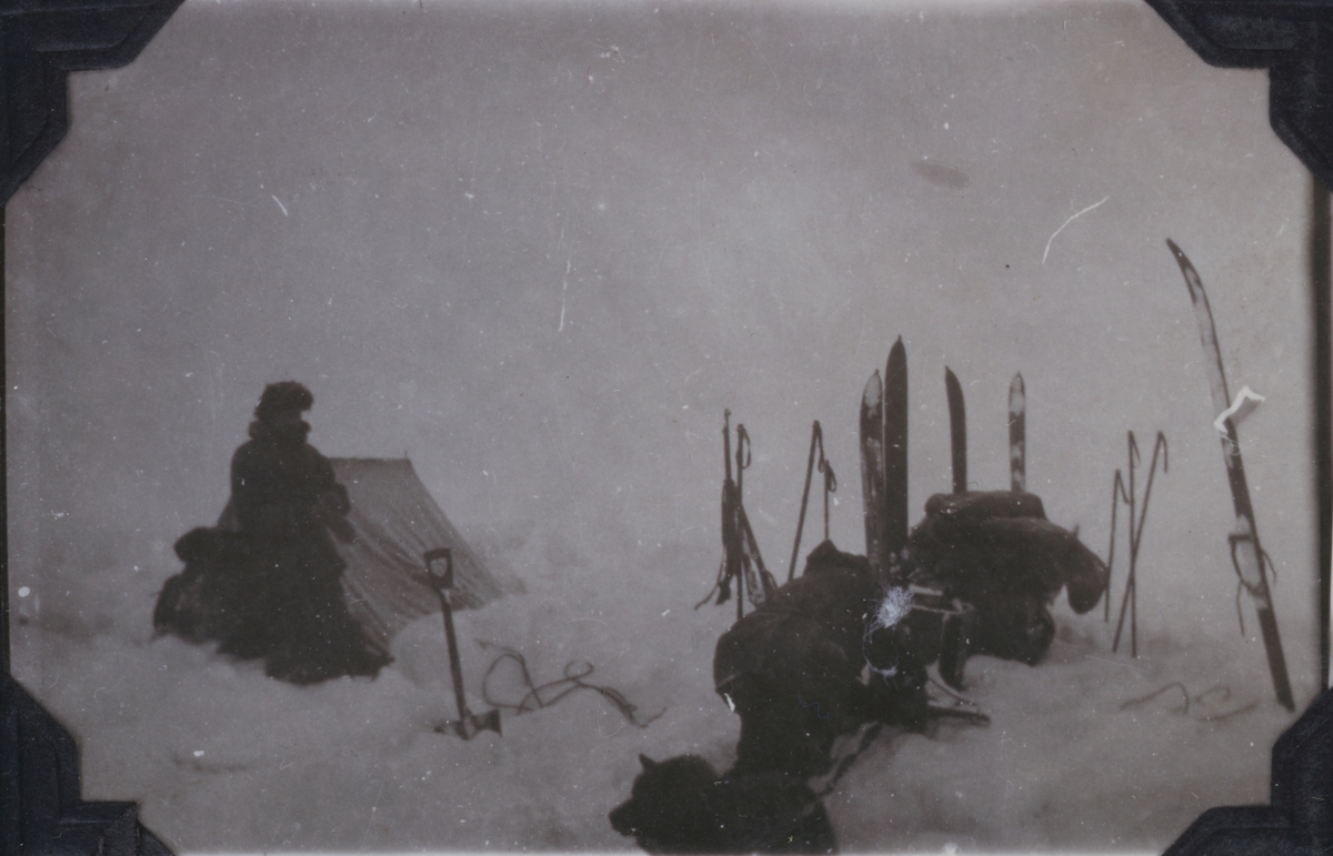 På hundetur, mann og telt i snøen . Fra avfotografert album.