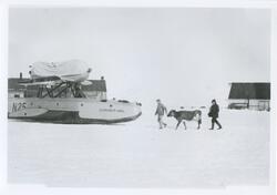Amundsenekspedisjonen 1925 ”N-25”, 2 menn og ku. Bilder fra 