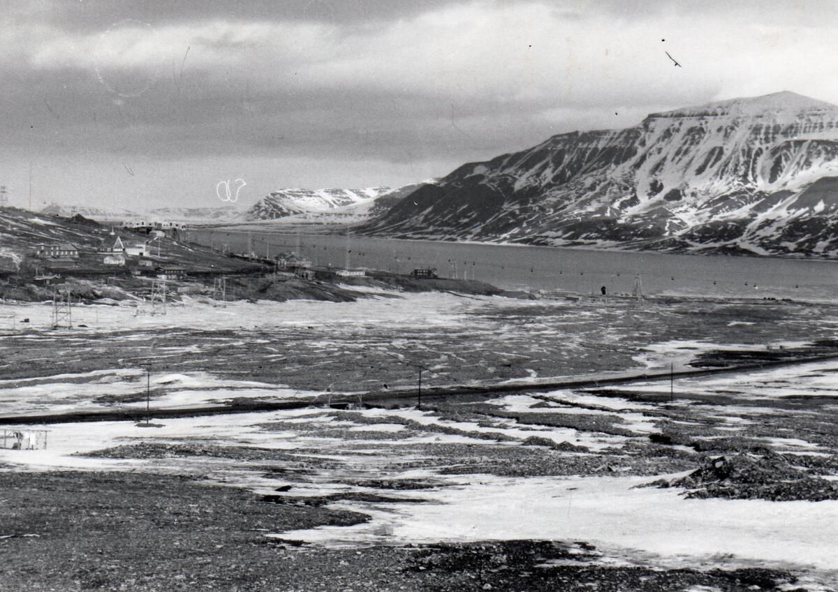 Oversiktsbilde over Gamle Longyearbyen, Skjæringa og Sjøomådet våren ...