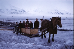 Hest og slede i Longyearbyen