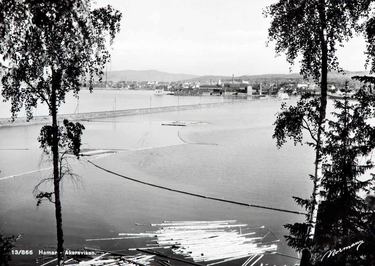 Postkort, Hamar, jernbanebrua over Åkersvika. tømmerlense nedenfor Tokstad, Espern,