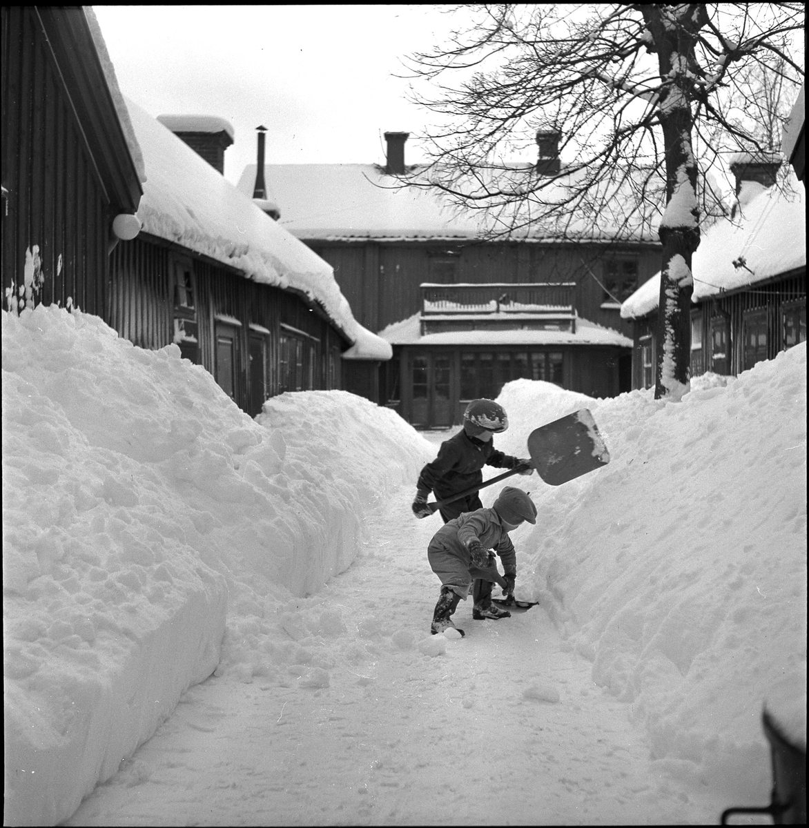 Två barn skottar snö på gården kv Hjorten 8, jan 1951.