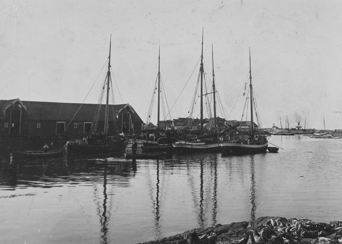 Havneområde : Båter ligger til kai