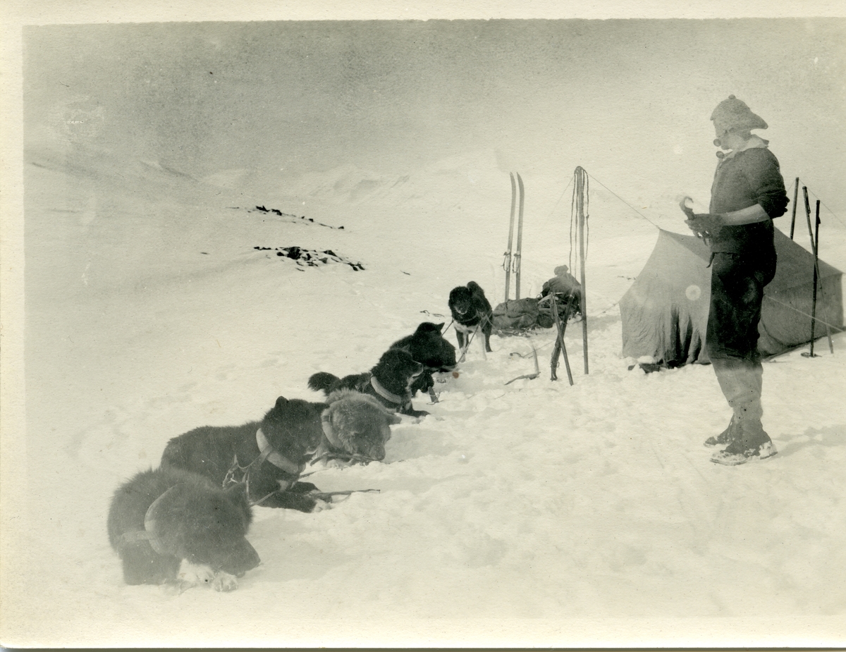 Bilde fra den nederlandske gruveperioden i Barentsburg/Green Harbour. Etter Count Van Hogendorp, en nederlandsk ingeniør rundt 1922 i Barentsburg. Sledetur med hundespann nordover. Leir med telt.