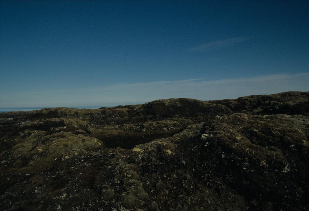 Utsikt mot Bjørnøya fra flyet.
