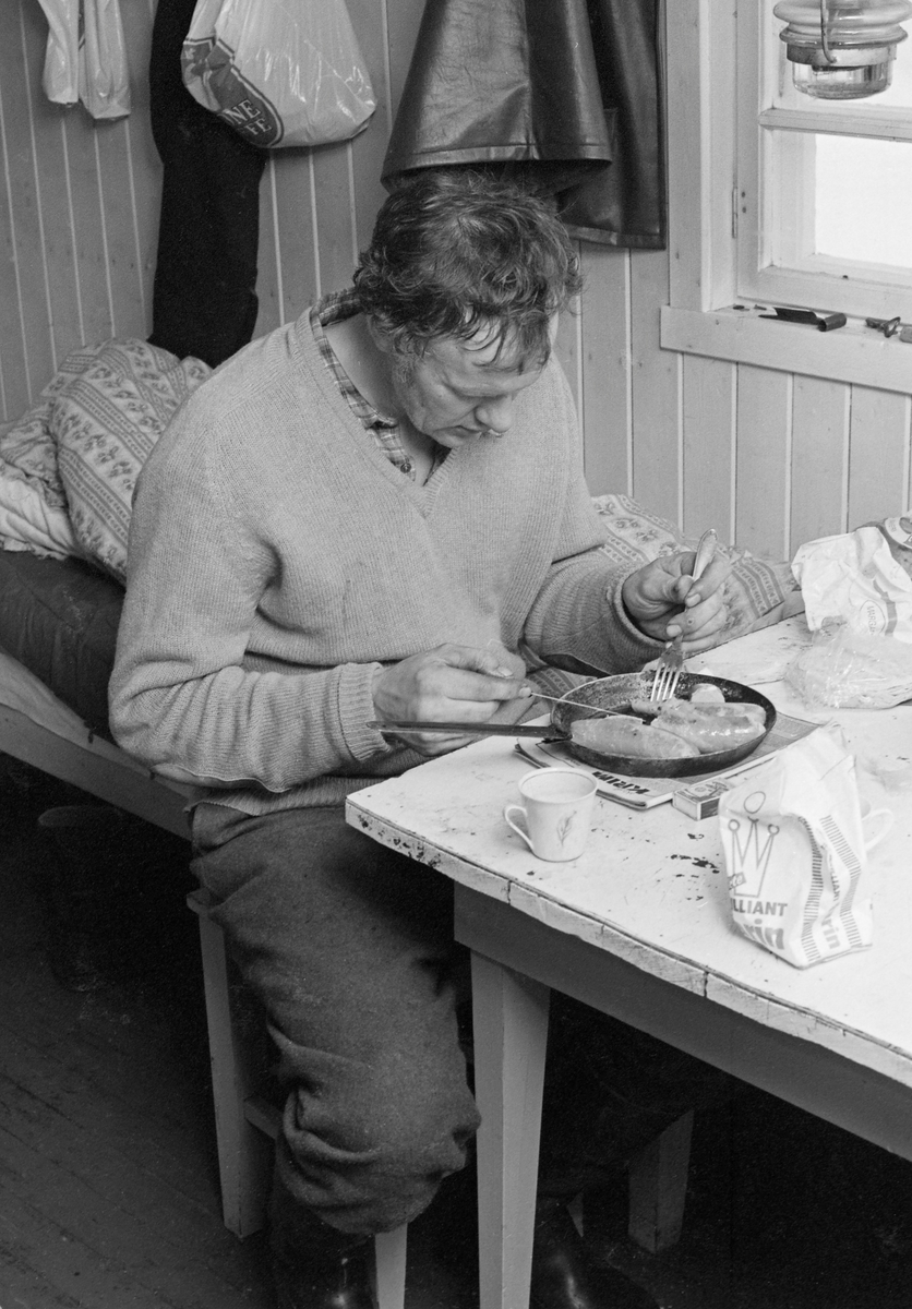 Måltid i Østlikoia i Løiten almenning (Løten allmenning) i februar 1977. Fotografiet er tatt inne i koierommet. Der satt Jon Larsson på en taburett ved spisebordet under måltidet.