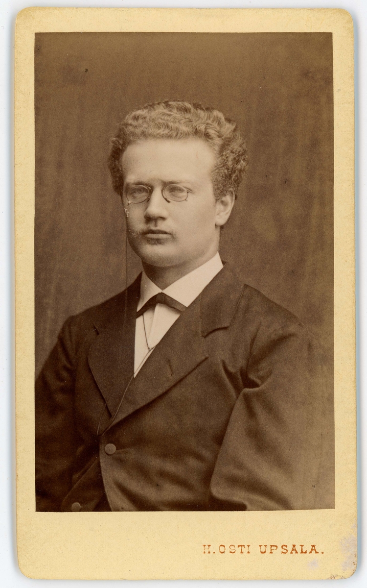Porträtt på Karl Johansson.