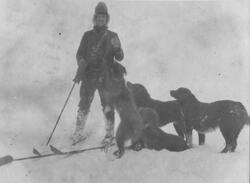 Russisk fangstman Sedovmed hunder fra Dicksonfjorden. Bilder