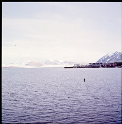 Kaianlegg i Ny-Ålesund.