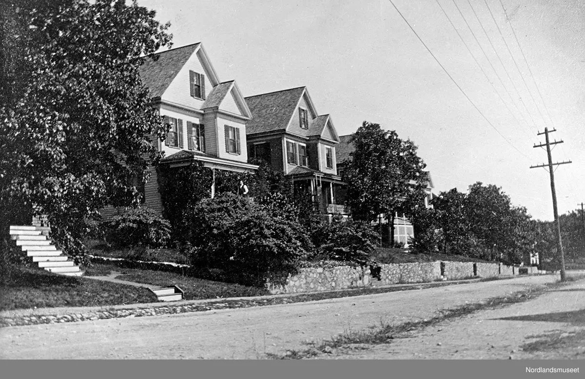 Bilde fra Fairview Avenue. Flere hus og busker og trær. En trapp kan