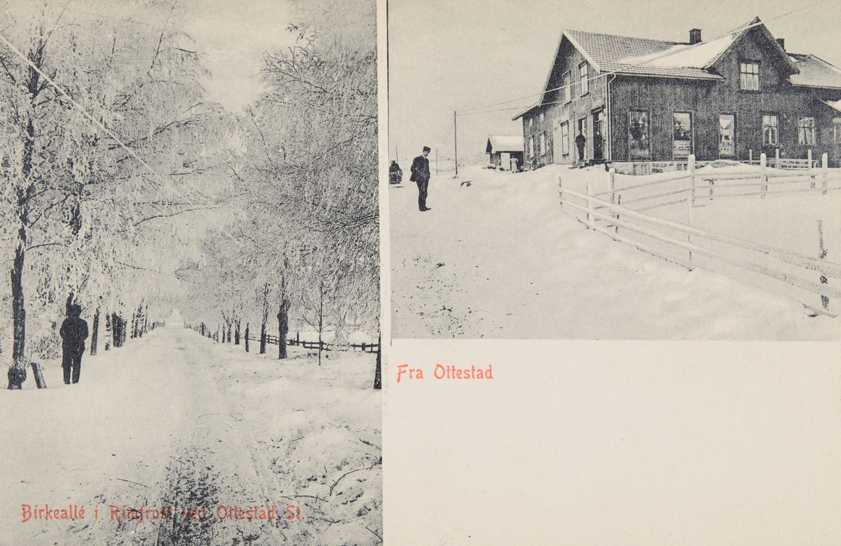 Postkort, Stange, Ottestad, Høistad landhandleri etablert av Ole Gjestvang i 1907, tomt fra Hverven gård, 2-delt kort, vintermotiv, bjørkealle med rimfrost,
