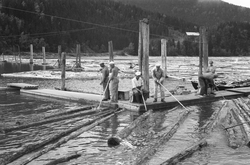 Fløtere i arbeid ved Lillehammer lense, der tømmer fra bygde