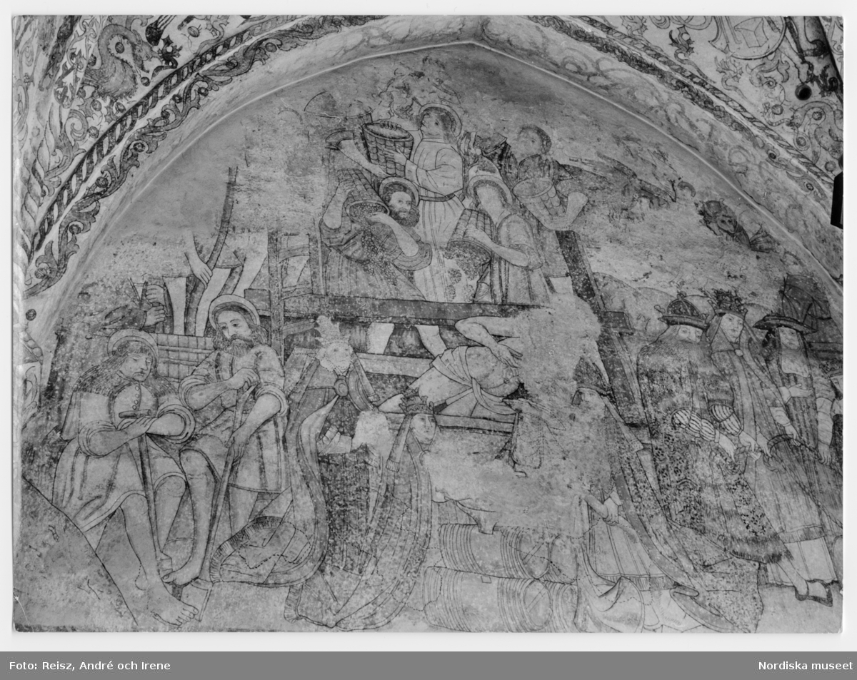 Skåne. Väggmålning från 1500-talet föreställande vinskörd i Krämarkapellets valv från 1460-talet i  S:t Petri kyrka, Malmö.