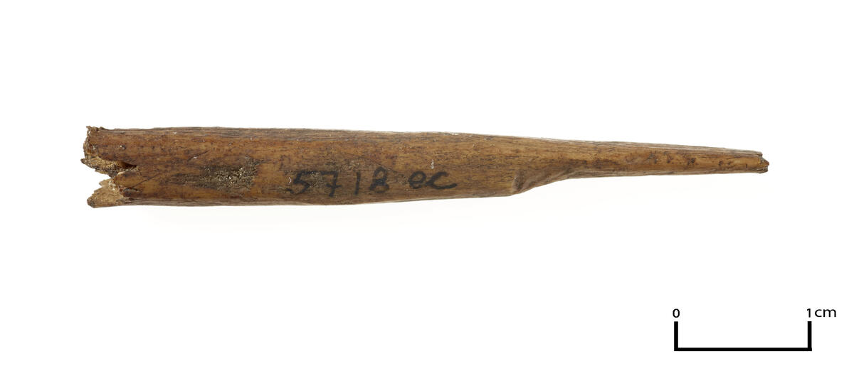 Fragment av en trinn beinpilespiss av fuglebein, med flat tange, 1,8 cm l. Nå 5,0 cm l., 0,5 cm i diam. Mrk. "H. 11, lag I". Litt. Utne 1973, fig. 50 a.