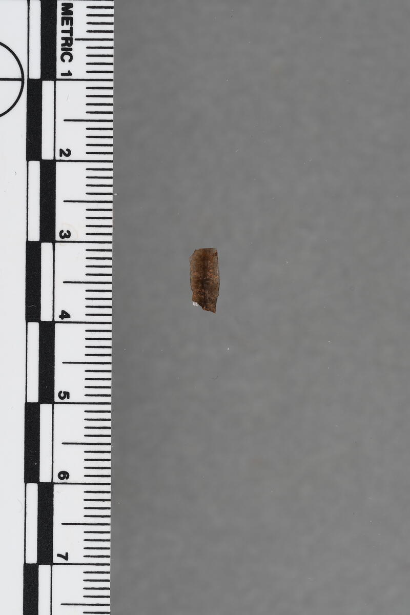 Midtfragment av en mikroflekke; av mørkegrå chert. L. 8 mm, br. 4 mm, t. 1 mm. 225x/198y, kvadrant 2.