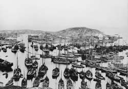 Sør-Gjæslingan under vinterfiske 1909, mange båter i havna.