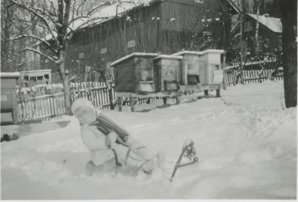 Kållered Stom "Nygård" okänt årtal. Ett litet barn leker i snön. I bakgrunden ses fyra bikupor.