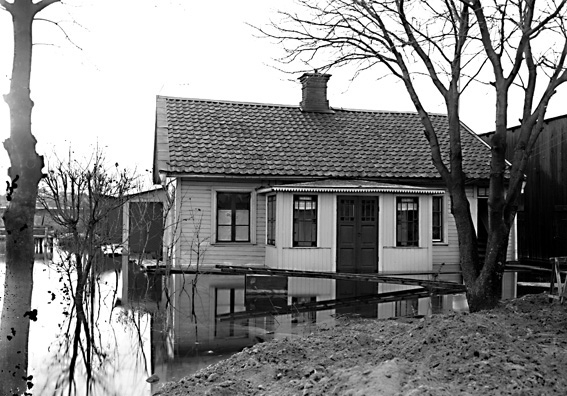 Hus i översvämmad trädgård.
Fotografens ant:Översvämning vid Sjövik och Kanikenäset.