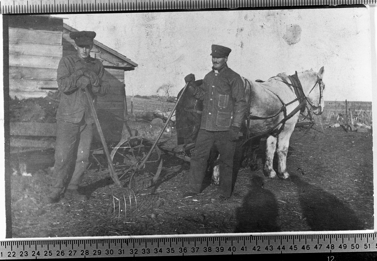 Jordbruksarbeidere på farm i Nord Dakota ca. 1901. Til høgre Hans Røise som arbeidet på en farm. Kom senere til Norge igjen.