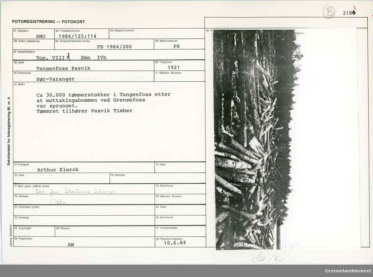 Fra Pasvikfløtingen i 1921. Binding på omtrent 30'000 tømmerstokker i Tangenfoss etter at mottakingsbommen ved Grensefoss var sprunget. Tømmeret tilhører Pasvik Timber. 