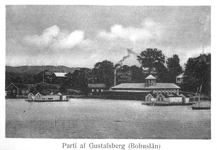 "Parti af Gustafsberg (Bohuslän)".