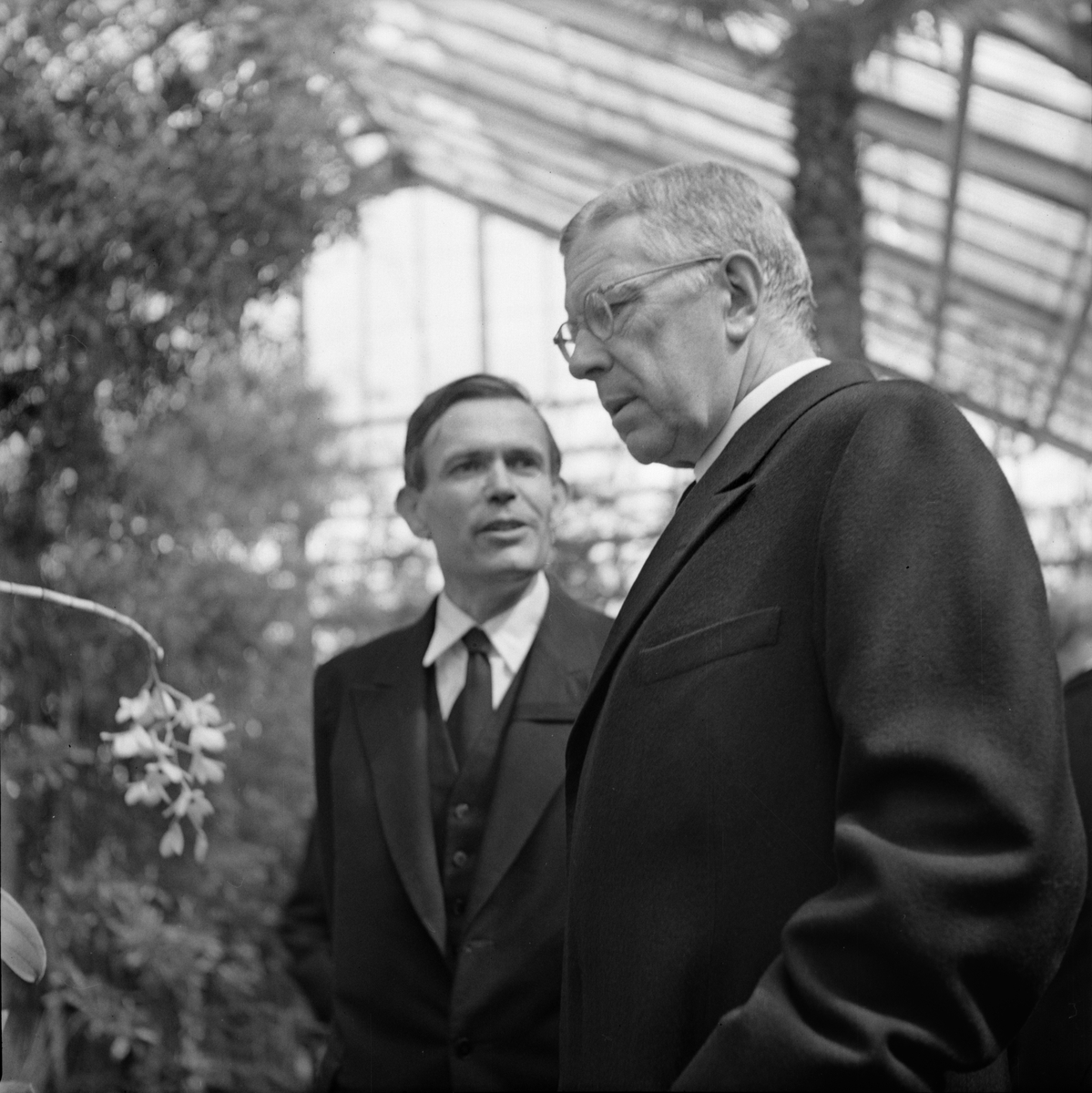 Kung Gustav VI Adolf besöker Växtbiologiska institutionen, Uppsala 1951