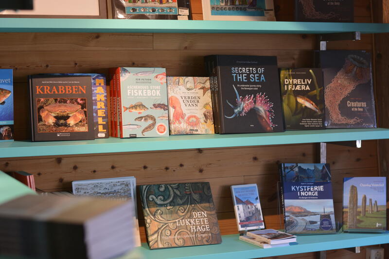 Bildet viser et utvalg av bøkene som finnes tilgjengelig i butikken