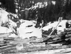 Tømmer som var levert ved Toresvelta ved elva Hovda vinteren