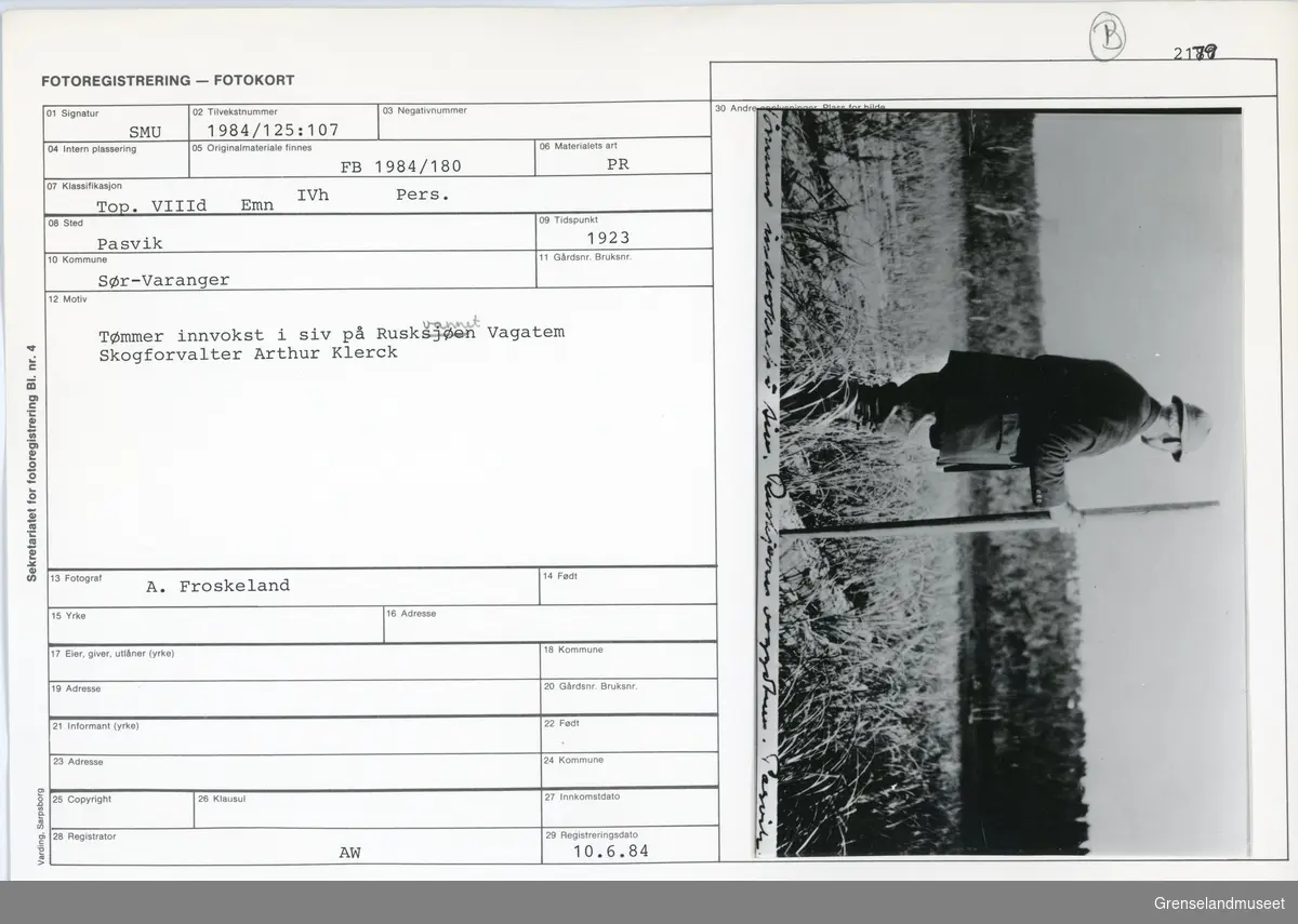 Tømmer innvokst i siv på Ruskvannet, Vaggetem. Skogforvalter Arthur Klerck på bildet. 