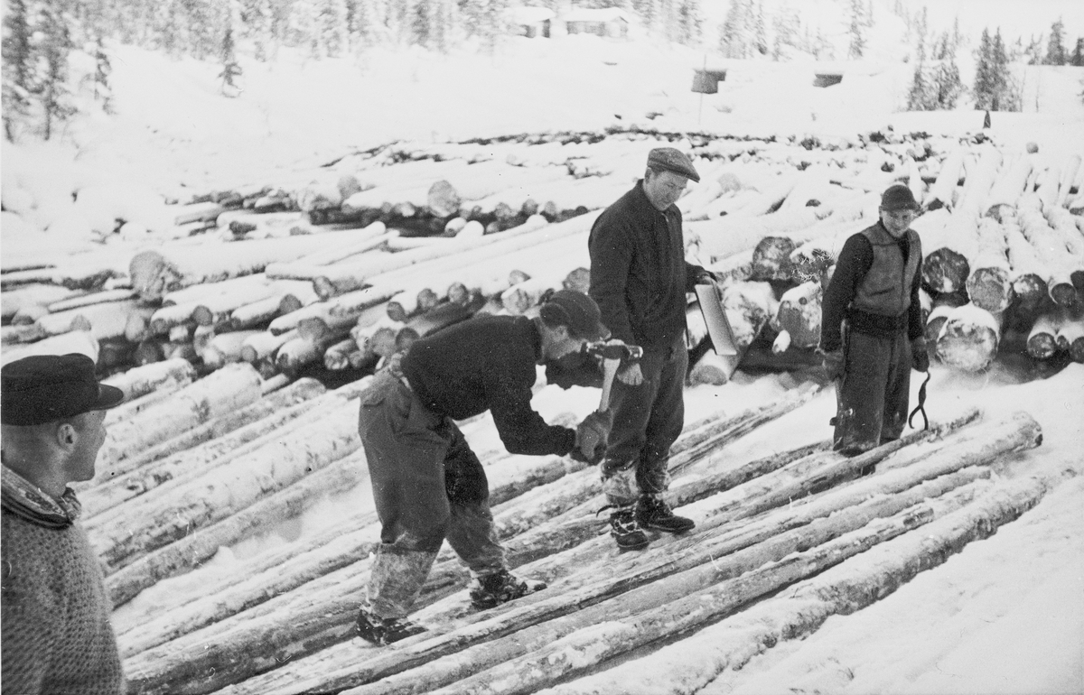 Tømmermerking ved Lauvåstjenn i 1959. Fra venstre: Odd Rugland, Kristoffer Tangen med merkeøks, en ukjent og Per Aasand.