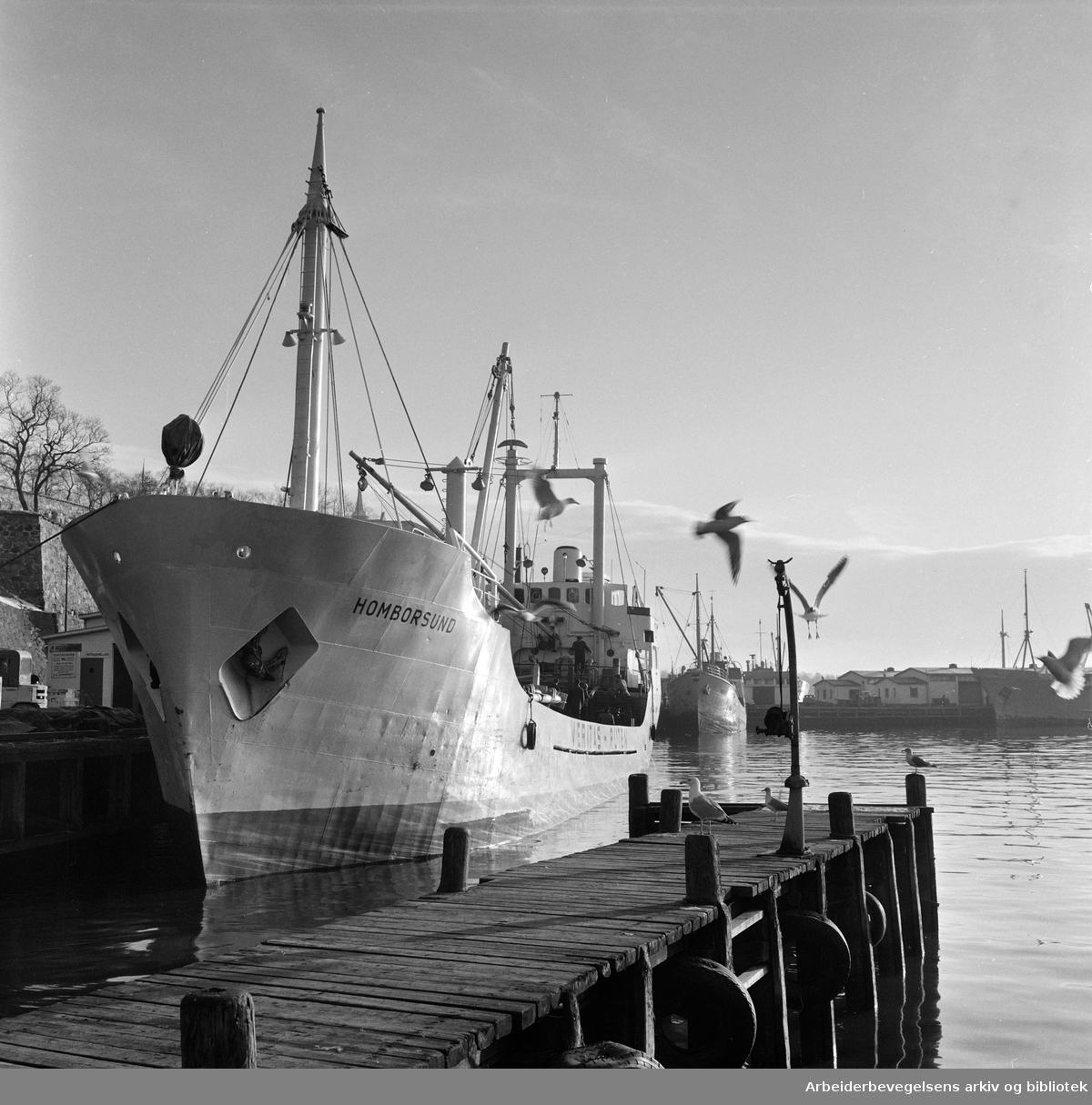 Vinterstemning på Akershuskaia. M/S Homborsund. Oslo havn. Februar 1965