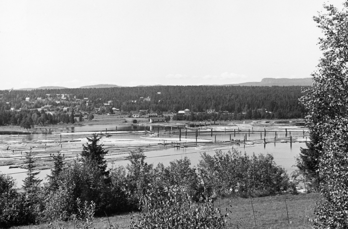 Bergsjø hengsle, et lenseanlegg i Drammenselva ved tettstedet Geithus i Modum, fotografert fra østsida i vassdraget i 1939. Dette lenseanlegget ble anlagt etter at det ble stiftet en fellesfløtingsforening for Drammensvassdraget i 1807. Bergsjø hengsle var i drift inntil fløtinga i Drammensvassdraget ble avviklet i slutten av 1960-åra. Det ser ut til å ha vært et vifteformet anlegg, der tømmer som skulle til treforedlingsbedriftene i nærområdet, som Drammenselvens papirfabrikk og Embretsfos fabrikker, ble sortert fra det virket som skulle videre nedover i vassdraget.