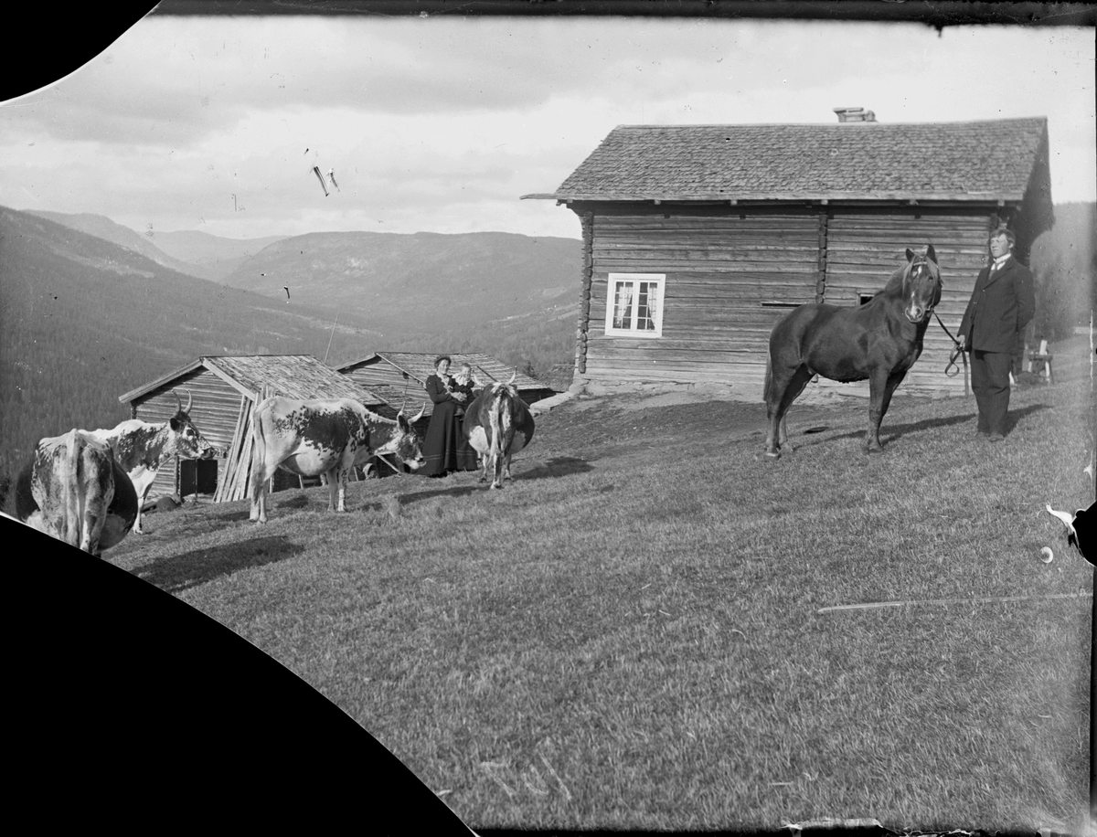 Bilde viser gardstun med folk og dyr

Fotosamling etter Øystein O. Jonsjords (1895-1968), Tinn.