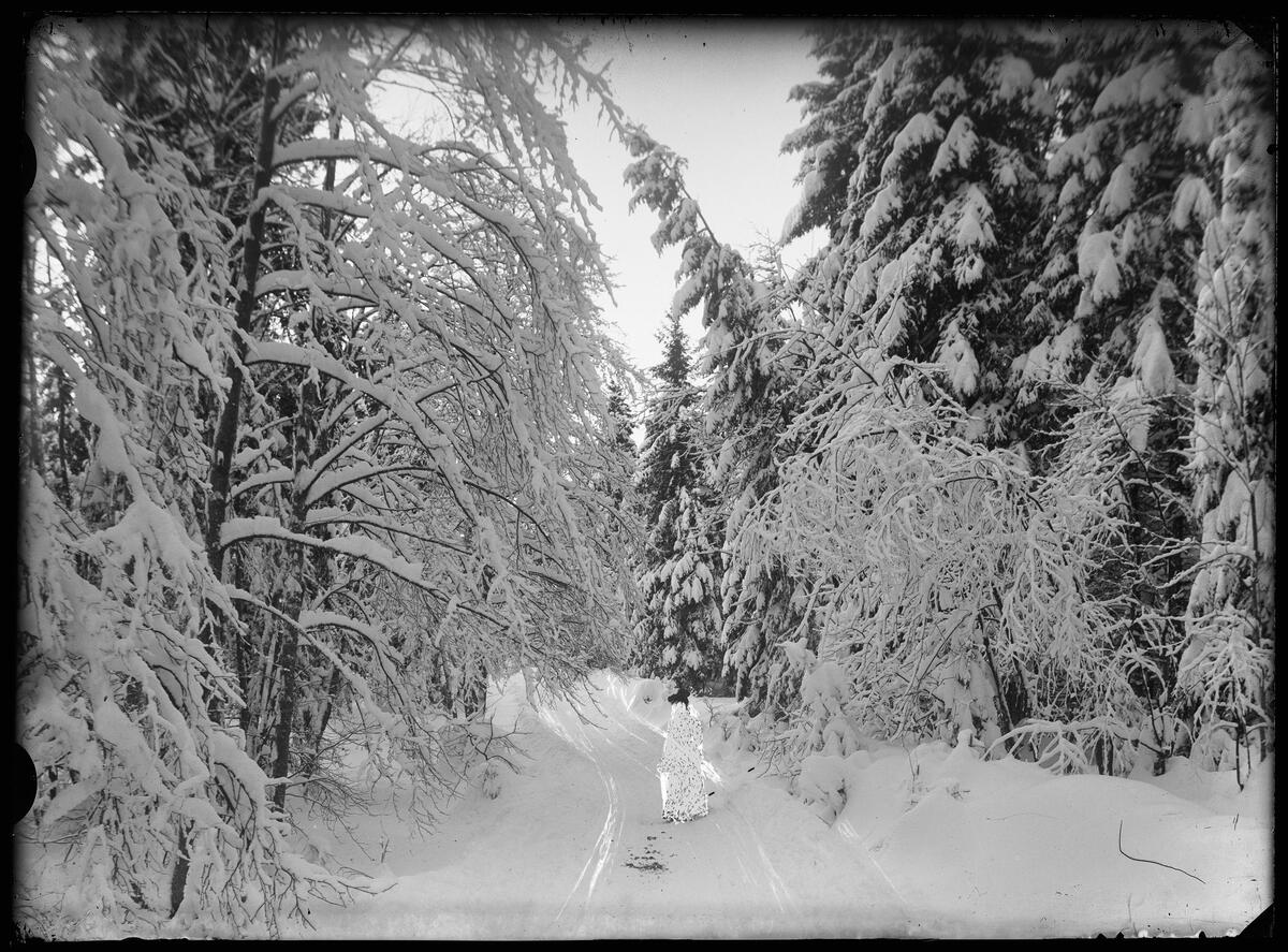 Fotografiet viser et vinterlandskap med en hvit flekk hvor fotografen har prøvd å fjerne, altså retusjere bort noen.