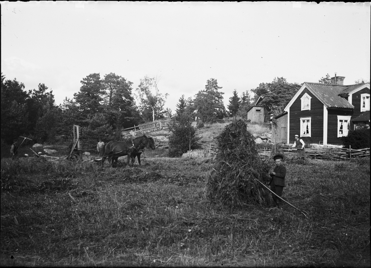 Höstack Slåttermaskin Höbärgning - Upplandsmuseet / DigitaltMuseum
