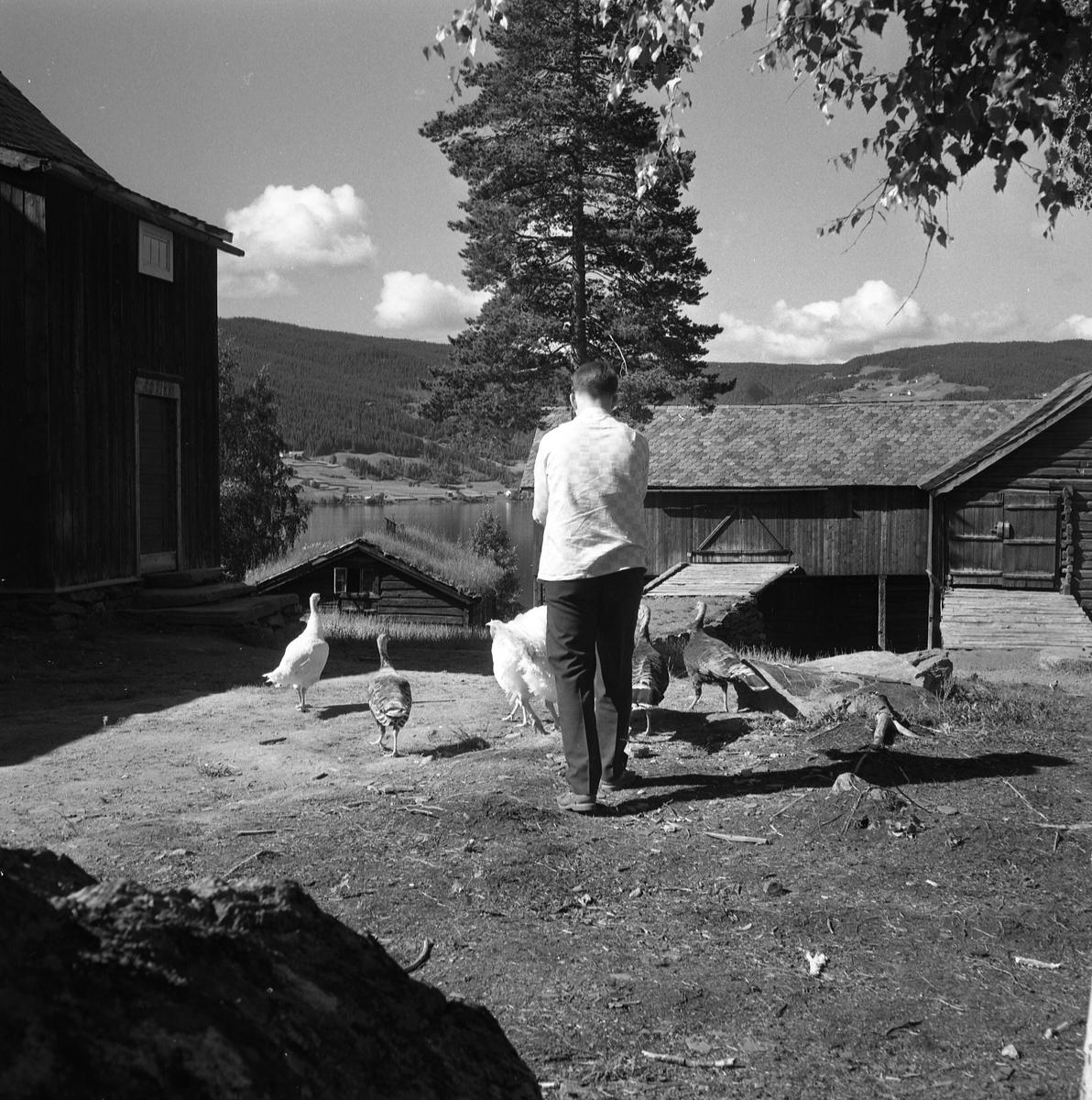 Valdres Folkemuseum 1962.