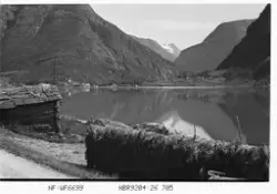Prot:  Lusterfjord