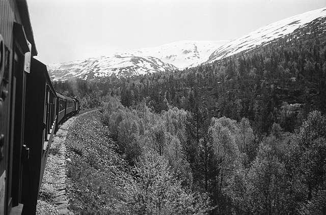 Prot: Bergensbanen mellem Reime og Mjölfjell  Statsbane 6-39