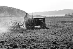Prot: Traktor harving Lier