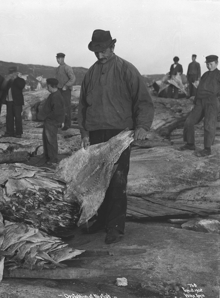 Oppstabling ab klipfisk Sep. 1902