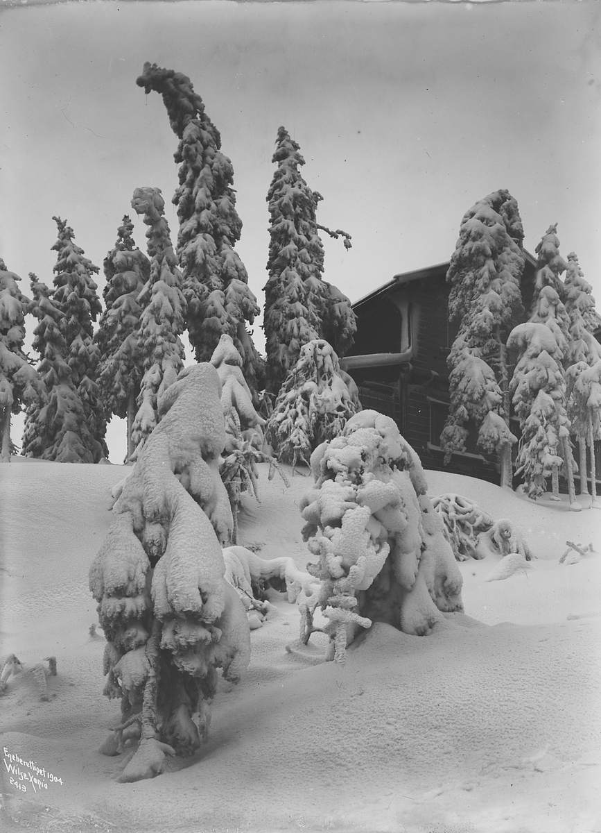 Prot: Vinterparti ved Voksenkollen 29. Dec. 1903