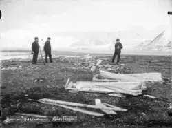 Gamle hvalfangergraver på Hollendarneset på Smeerenbergslett
