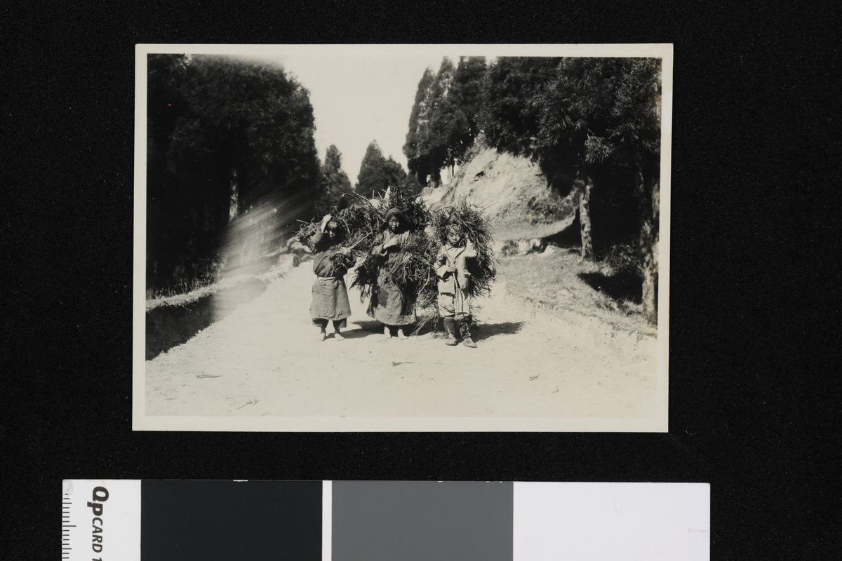 Barn i Sikkim. Fotografier tatt i forbindelse med Elisabeth Meyers reise til India 1932-33.