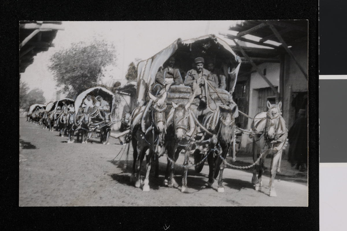 Teppetransport fra Hamadan. Karavan av hester med vogner. Russiske innflyttere til Iran. Fotografier tatt av/ samlet inn av Elisabeth Meyer fra reise til Iran 1929.