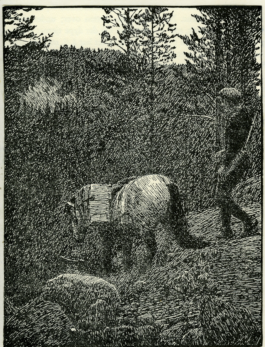 Mann og hest
Nansens illustrasjon til hjemturen
