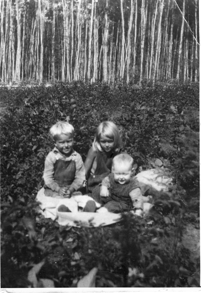 Gruppe med barn
Fra v Arnold, Margit(Madsen) og Jørgen Jorde i Canada.
