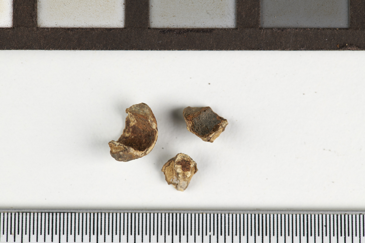 Perle av bly i tre deler. Mål: Diam: 0,8 cm T: 0,6 cm. Vekt: 0,25 gram.