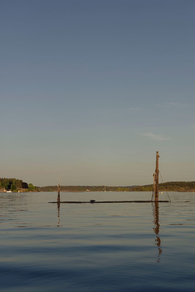 AKSJON Oslofjord/Lakseberget: En skøyte forvandlet til vrakbåt. Den sank på nyåret 2023, og ligger på åtte meters dyp. Kun to master i tre stikker over vannflaten.