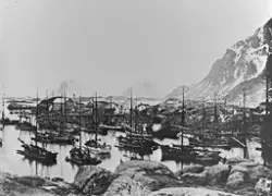 Bildet viser en havn full av seilbåter, en del bebyggelse se